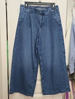 American Eagle Outfitters Wide-Leg X Short Jeans in Medium Blue